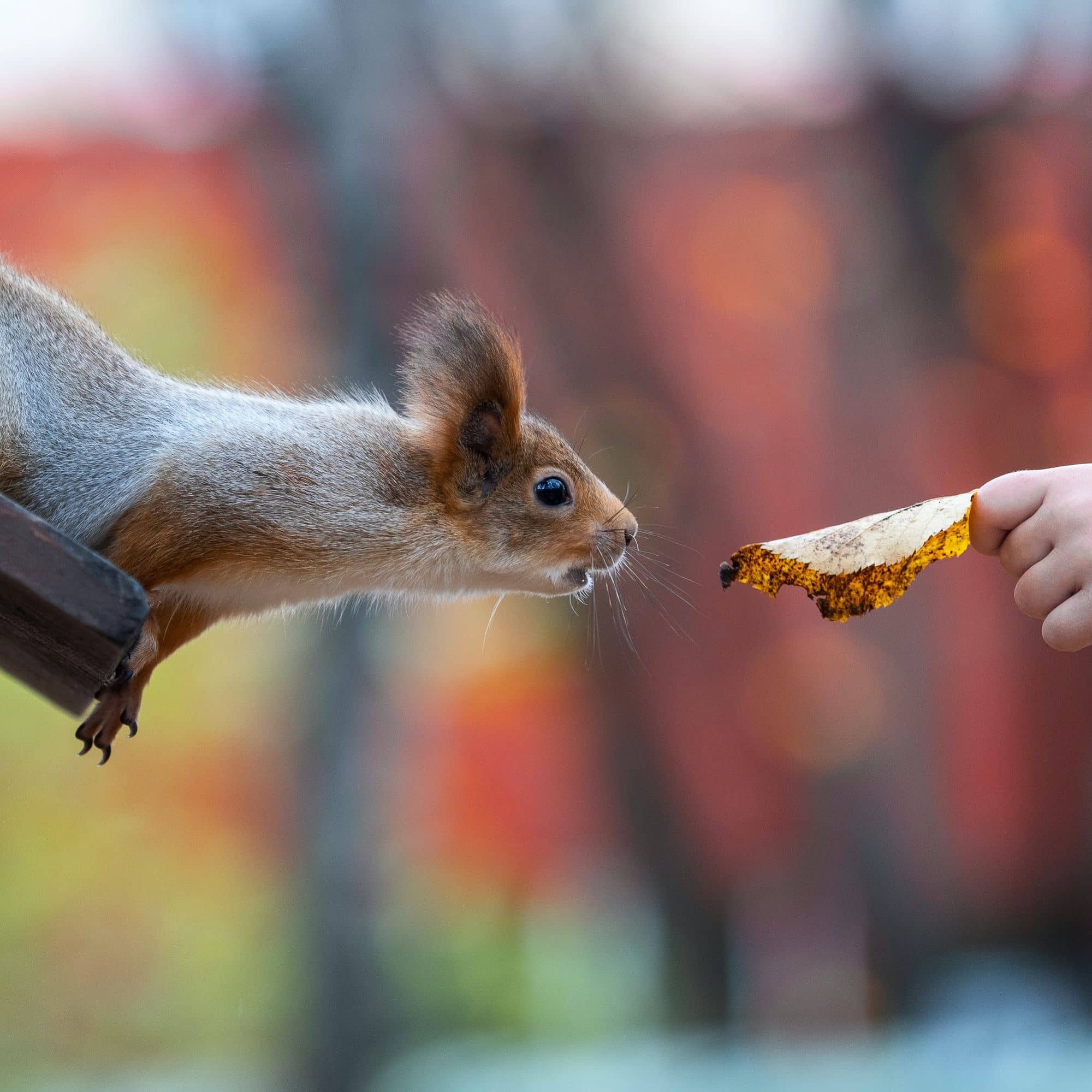 Sometimes, Even a Free Lunch Can Taste Bad